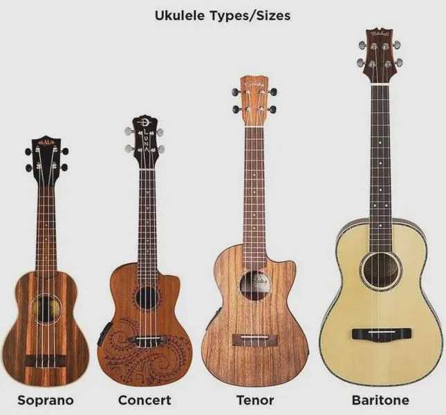 Rodzaje ukulele